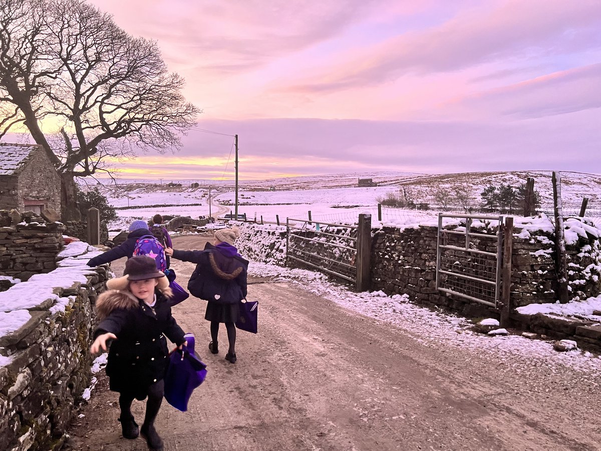 YorkshireShepherdess tweet media