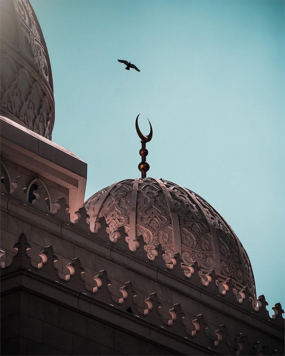 Congratulations <a href="/8ct88/">مشعل بن سعد</a> ! 🤩 You’re the winner of this month’s #StoriesofArabia challenge. Thank you for sharing your beautiful architectural shots with us. We’re excited to see what you’ll create with your new Canon Zoemini.
Tune in for the next challenge!
#FreeYourStory #CanonME