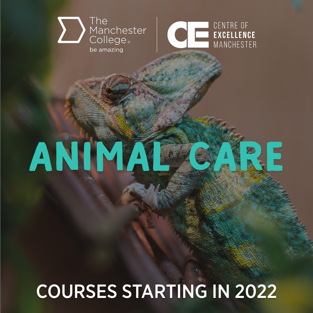 The Manchester College tweet media