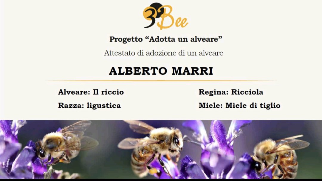 AlbertoMrr22181's tweet photo. Adotta un'alveare! π
https://t.co/Buh2lTwNyi
#supportyourlocalbeekeeper https://t.co/PUSvlKEsyK