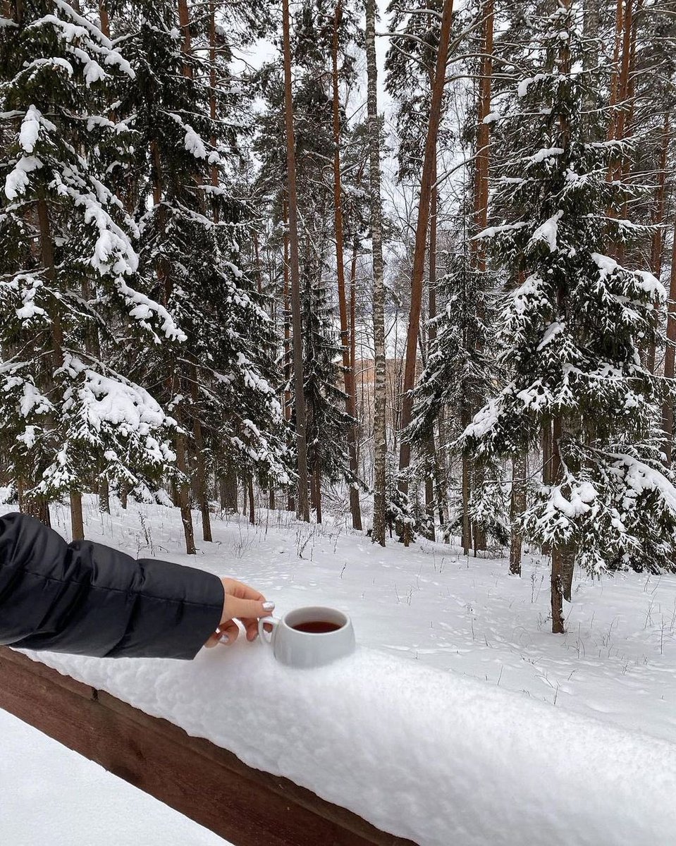 حياة (@lifepic_) on Twitter photo 