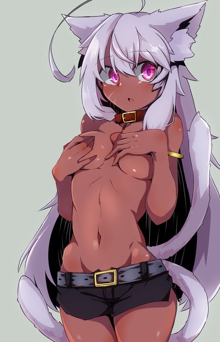 ほぼ毎日うちの子
355枚目 リーシア(猫又モード+アルビノ色素)

肌にアルビノ色素を加えられる体質を利用して日焼け跡風に出来ないか試してもらった 