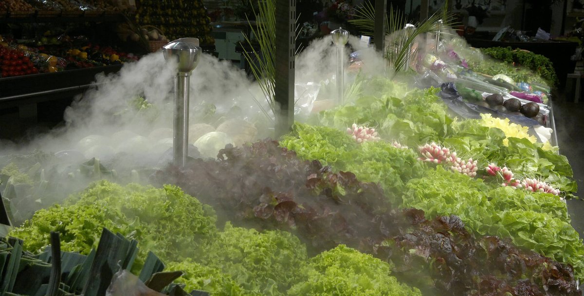 UnigrainsGroup's tweet photo. Unigrains accompagne le groupe ARFITEC, spécialiste des technologies de diffusion de liquides pour la distribution #alimentaire
Retrouvez le communiqué: https://t.co/SeKiJsFDeb
#zerodechet #antigaspi #alimentation #nebulisation #fruits #salad #gaspillagealimentaire #arfitec https://t.co/QTfVvG0eDR