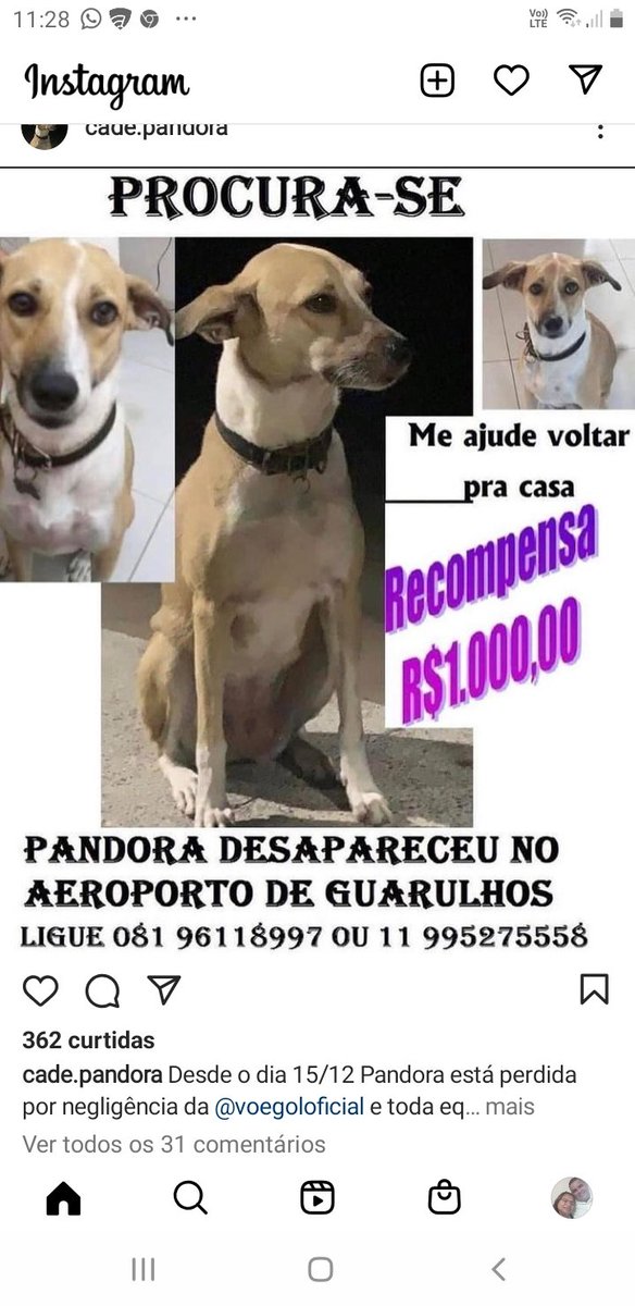 Apareci79480827's tweet photo. #GolcadeaPandora https://t.co/1MHPgLEC1c