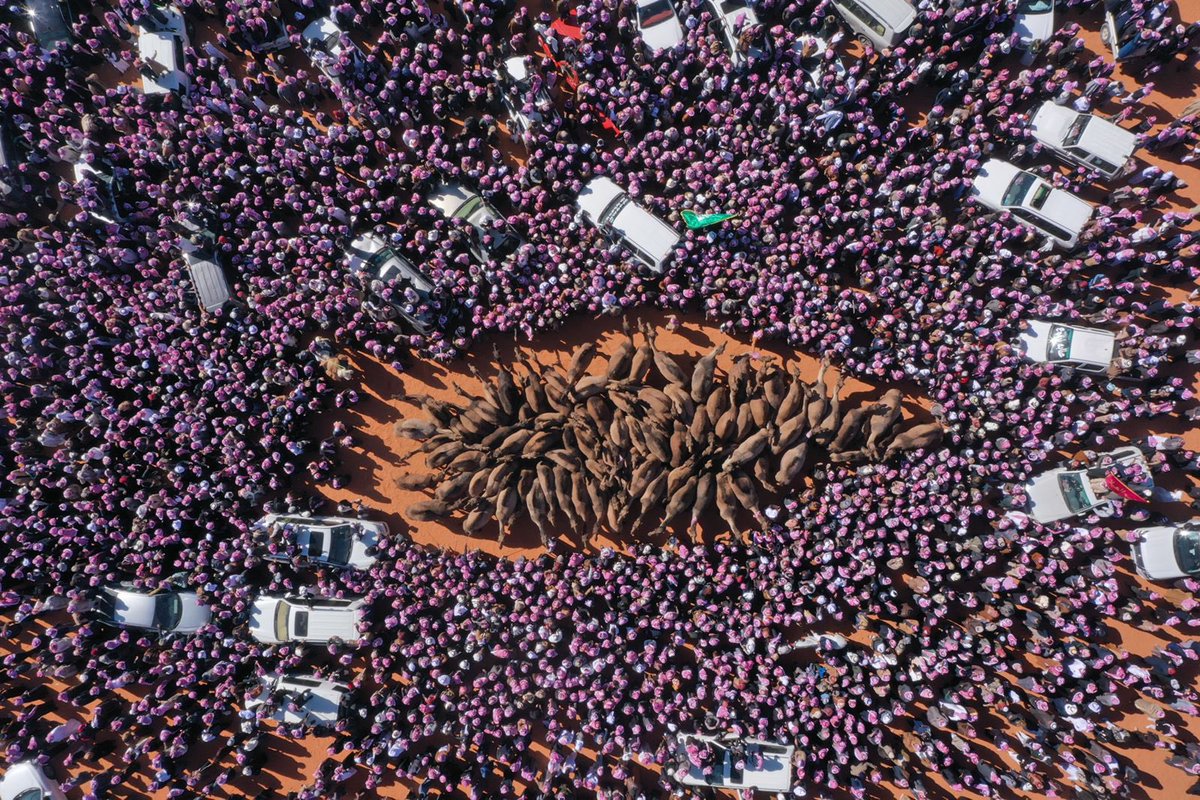 #لطامات 
#ابن_دغيثر 

لا دكّت الميدان و اخذت دورها
تطاير "الالباب و الشمغ الحمر"

ما كنْ "لطامات مع جمهورها"
الّا "مكاسر عود حاضنها جمر"