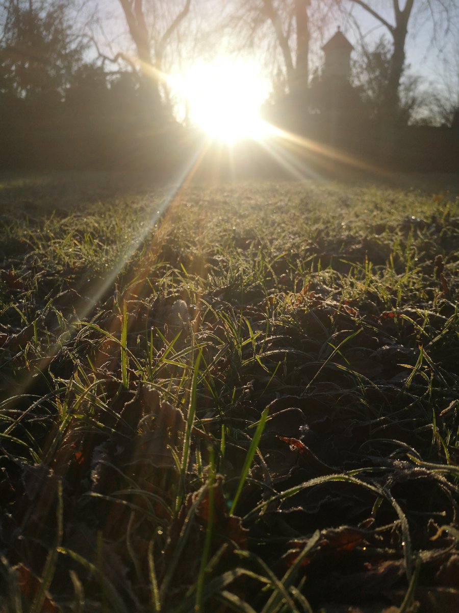 Burwell House tweet media