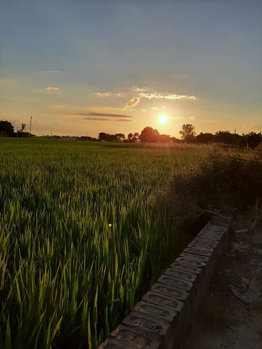ac919781's tweet photo. Look deep into nature, and then you will understand everything better.
#secne https://t.co/45J0mFKXnT
