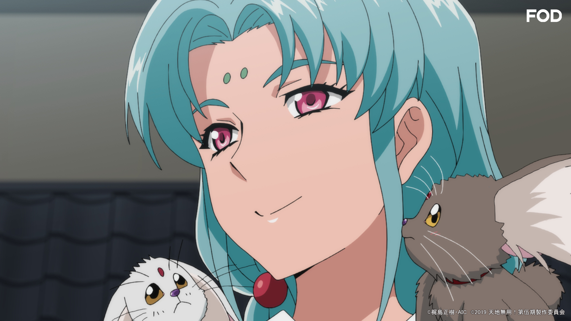 天地無用 魎皇鬼第伍期 公式 動画配信 レンタル開始だぜ Tenchi4th Twitter
