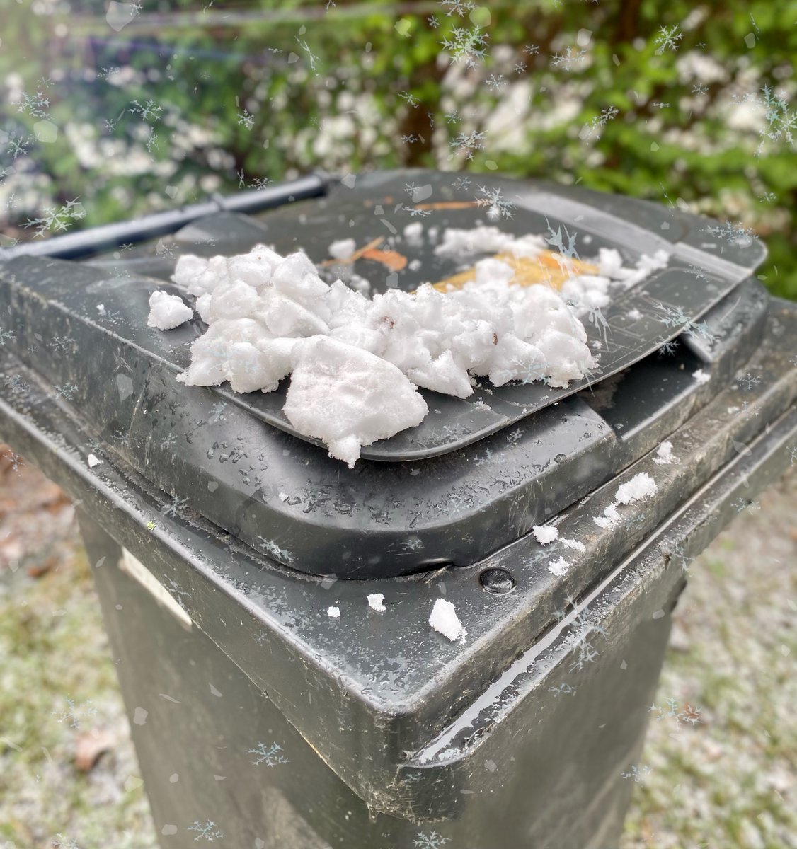 INAKbio's tweet photo. Alle Jahre wieder auch unser Input zum Thema #Biotonne im #Winter:
Das beste Hilfsmittel bleiben zertifiziert kompostierbare #Bioabfallbeutel. Diese verhindern das Festfrieren des Bioabfalls perfekt und ermöglichen eine einfache Sammlung und Leerung - völlig ohne #Mikroplastik https://t.co/eHBqXaAsSj