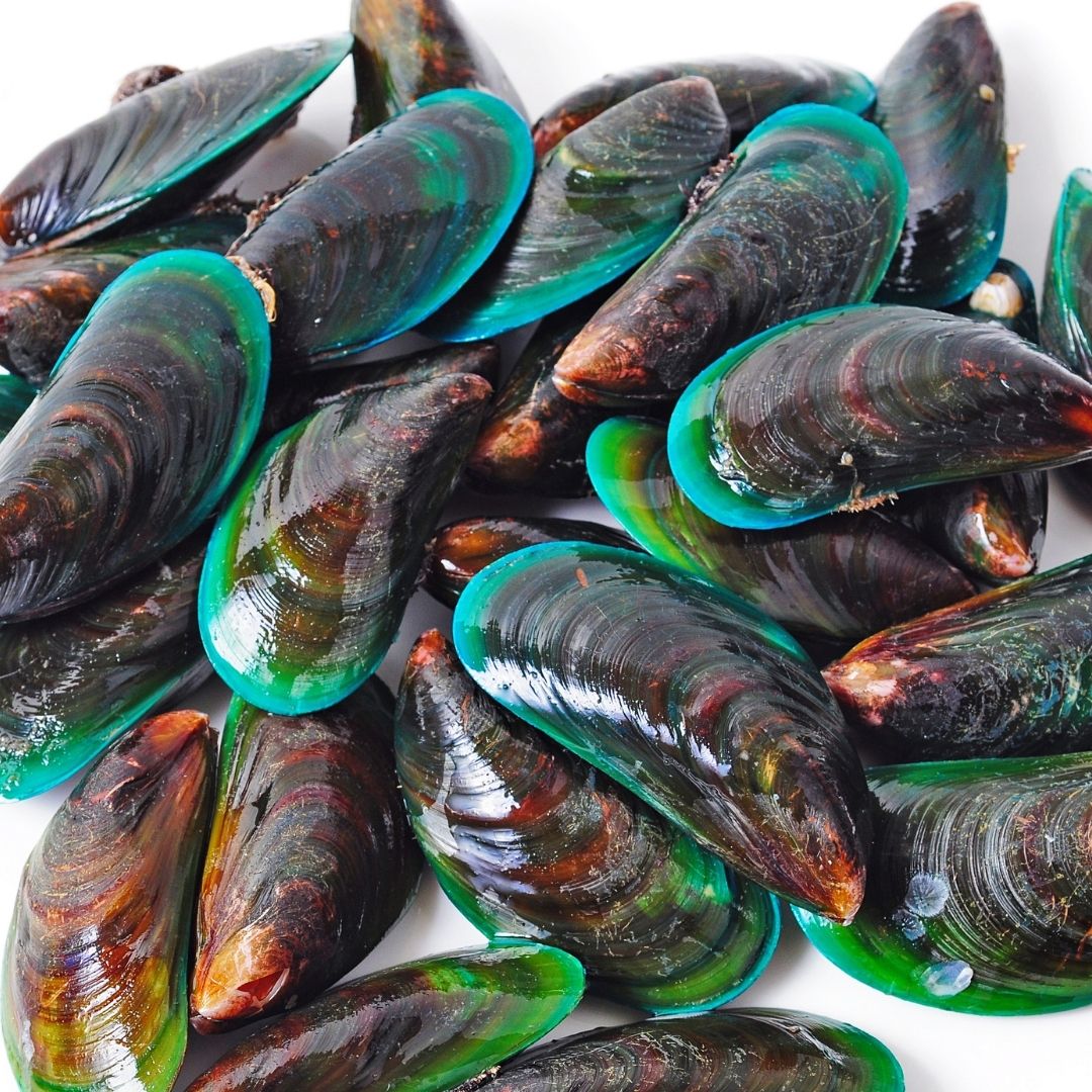 PaleoRidge's tweet photo. Green lipped Mussel  - a nutritional supplement 

Its Omega-3 fatty acids have many amazing joint protecting properties &amp; can protect our four-legged friends from the development of arthritis for  🐶

#dogshealth #naturalsupplements #supplementsfordogs  #greenlippedmussel https://t.co/xDdVAZoyau