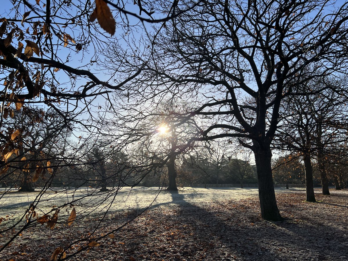 VivienImages's tweet photo. Frosty Greenwich Park this morning https://t.co/G4jMN2RzGS