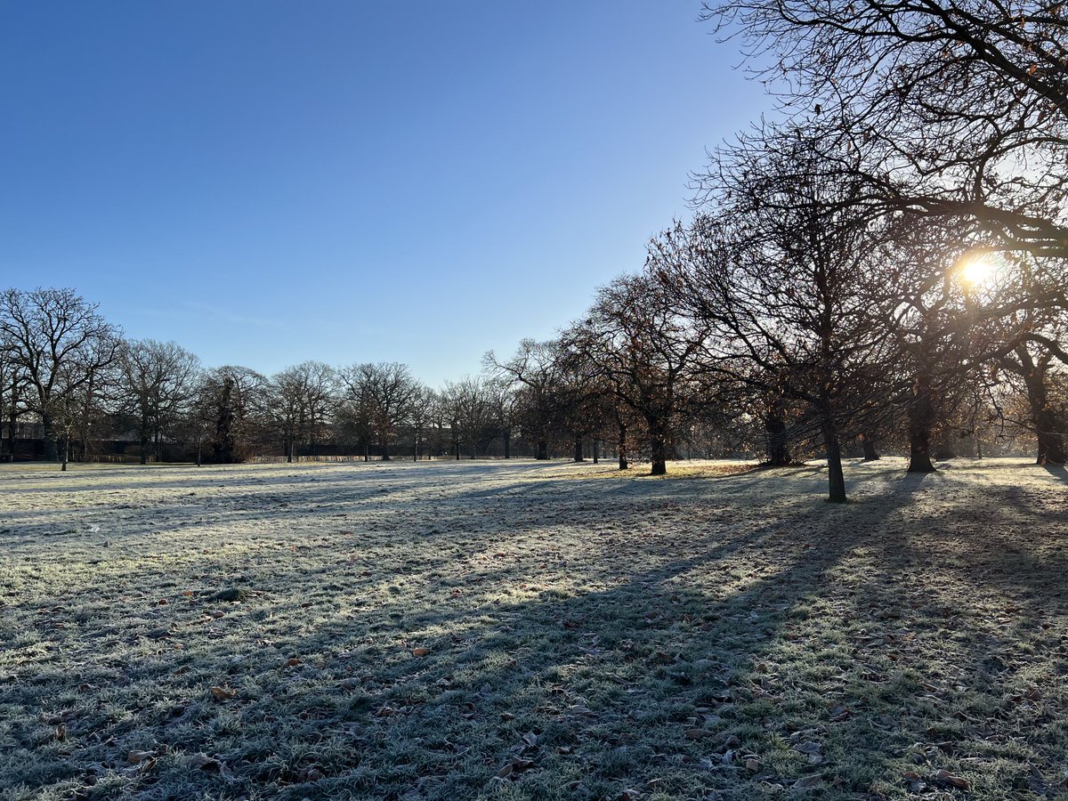 VivienImages's tweet photo. Frosty Greenwich Park this morning https://t.co/G4jMN2RzGS