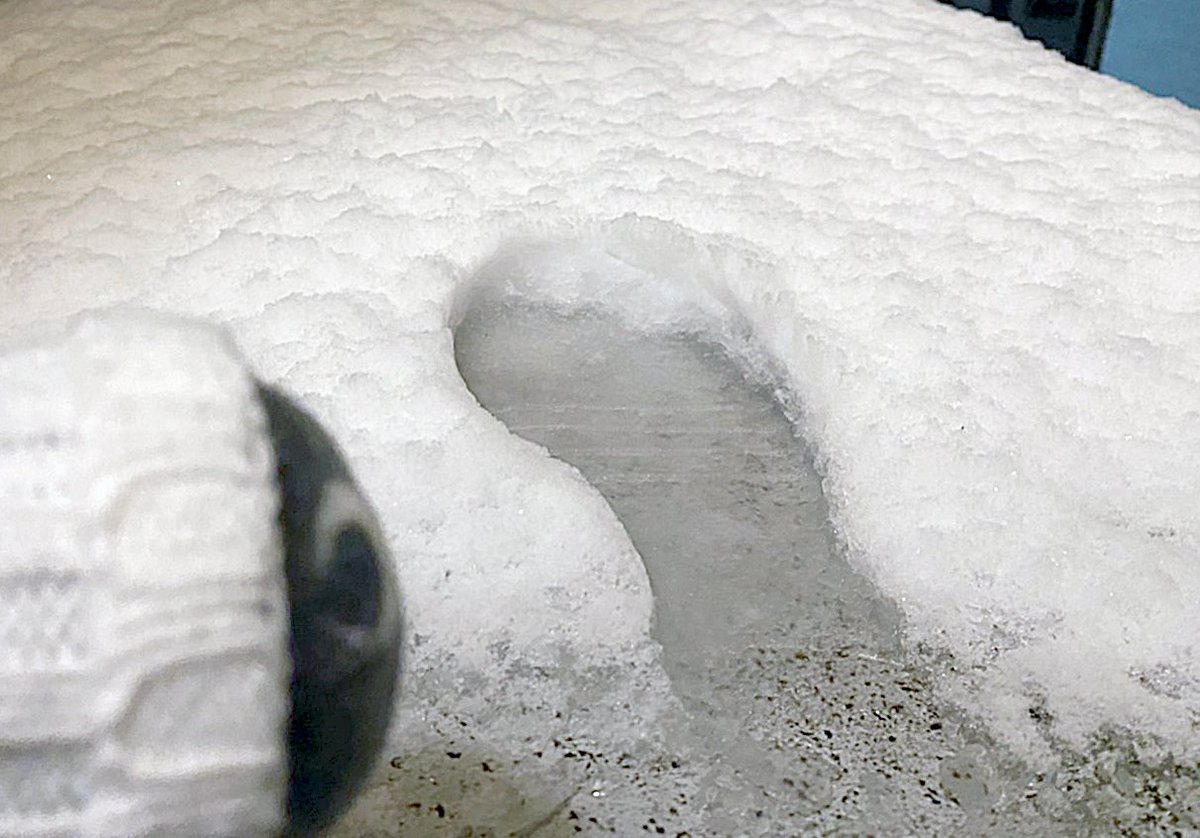 Deidara_Botchi's tweet photo. Hi!
I'm a #DeidaraBotchi .

Today there was a " #HeavySnowWarning " in the 23 wards of #Tokyo .
There's about 5cm of #Snow on the ground right now.
It's supposed to snow until tomorrow.

#DoYouWannaBuildASnowman ?

#Japan
#StuffedAnimalPhotography
#StuffedAnimalTravel https://t.co/O1bB7xsKi6