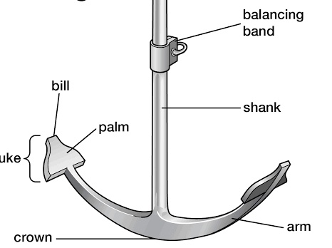 Abhirama ( #ONEPIECE ) on X: There's a another part connected to shanks  Look , the final part of Anchor is known as  CROWN  In an anchor Shank  determines where