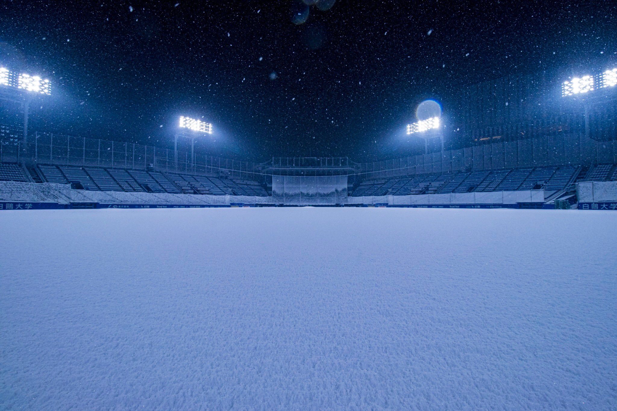 明治神宮野球場 公式 Snow Night 神宮球場 Jingustadium 雪夜 雪景色 Snow T Co Bwnariic4r Twitter