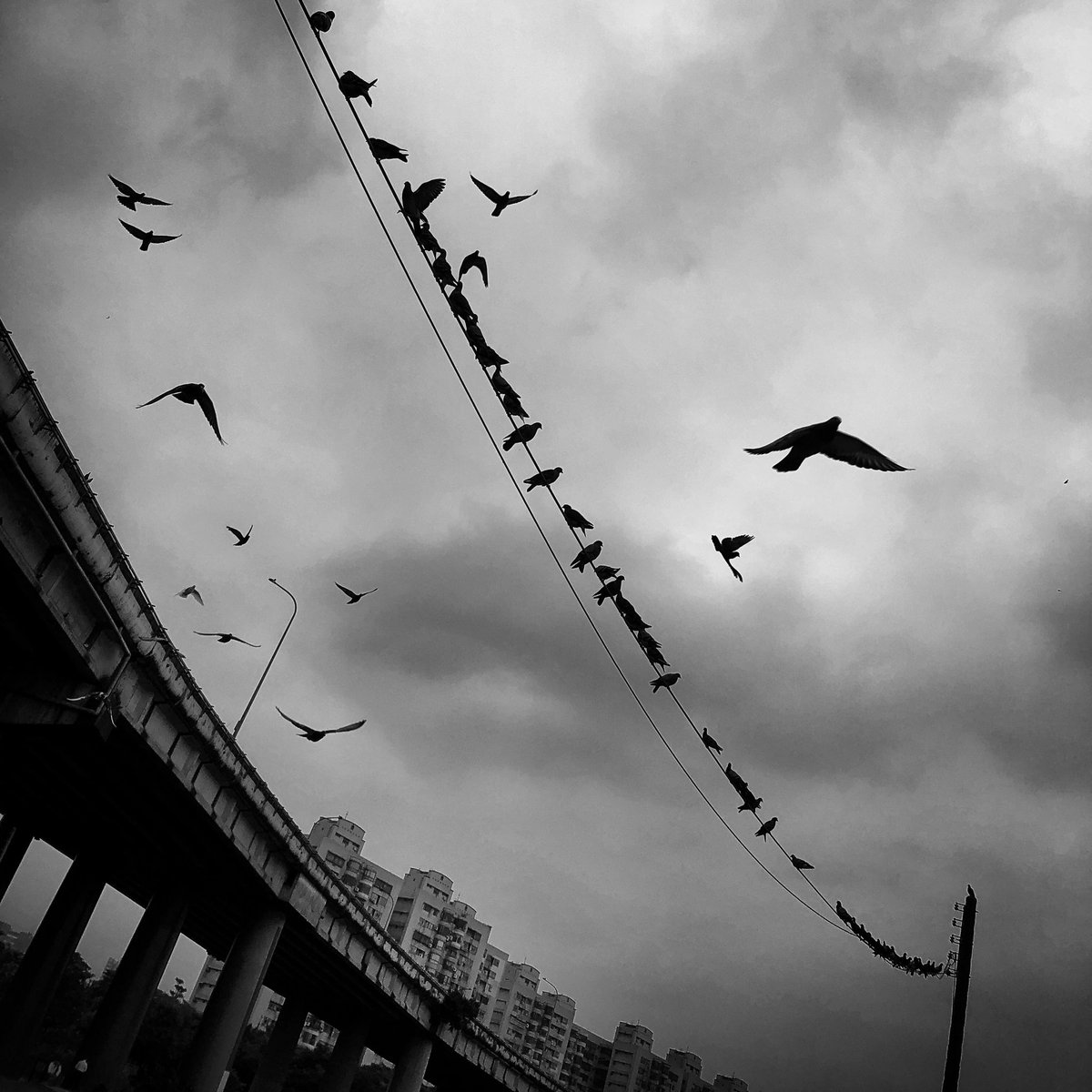 le_goosh's tweet photo. Sometimes I just need to get away.

#nfts #nft #nftcollector #nftcollectors #nftcollection #nftart #nftartist #nftphotography #photography #photos #visualart #streetphotography #streetart #blackandwhitephotography https://t.co/ey6i6A7HSk