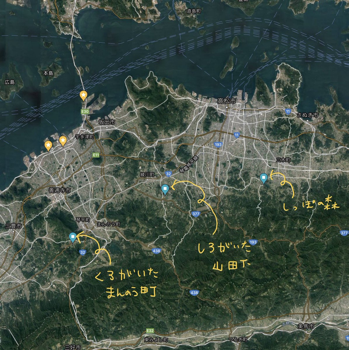 白と黒のいぬ tweet media