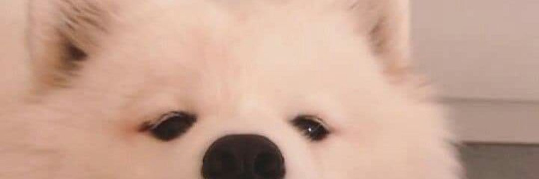 HHH #test
