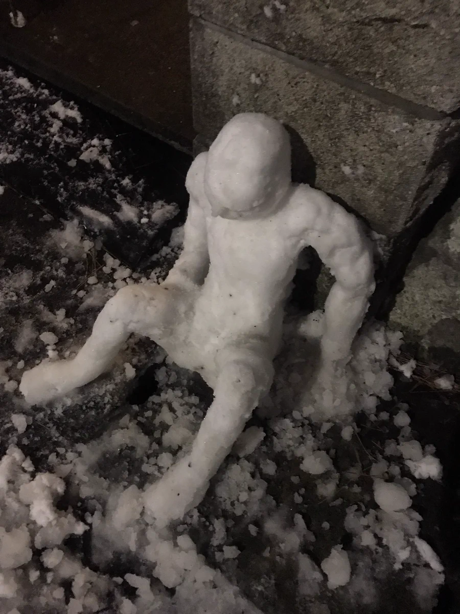 人型の雪だるまに母が悲鳴をあげ反応‪w心臓に悪い‪w‪w‪w