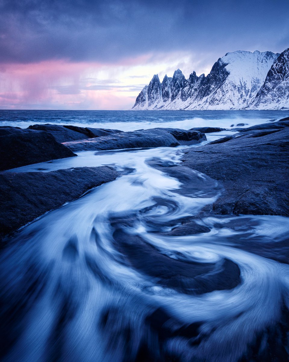 Felix 📷 tweet media