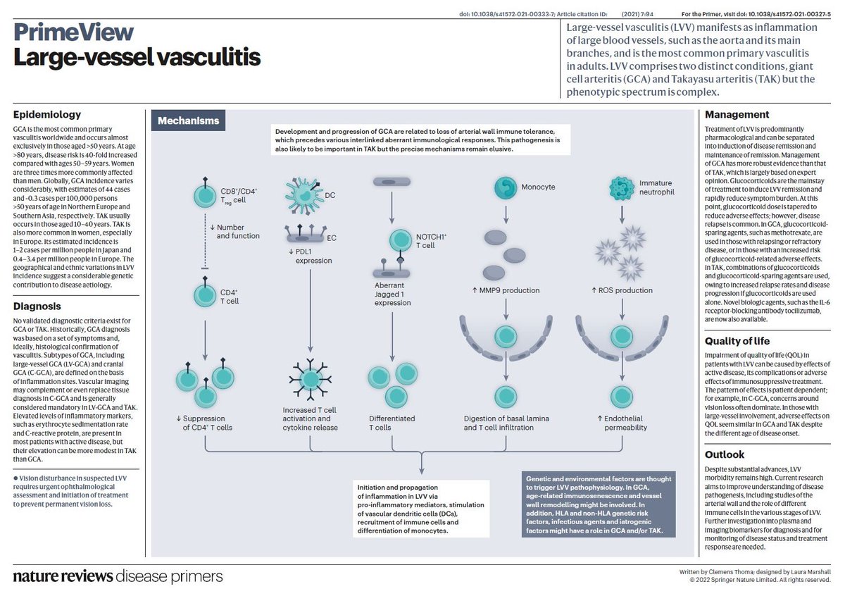 Nature Reviews Disease Primers tweet media
