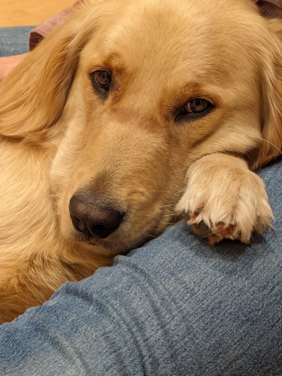 Emily Christoffersen tweet media