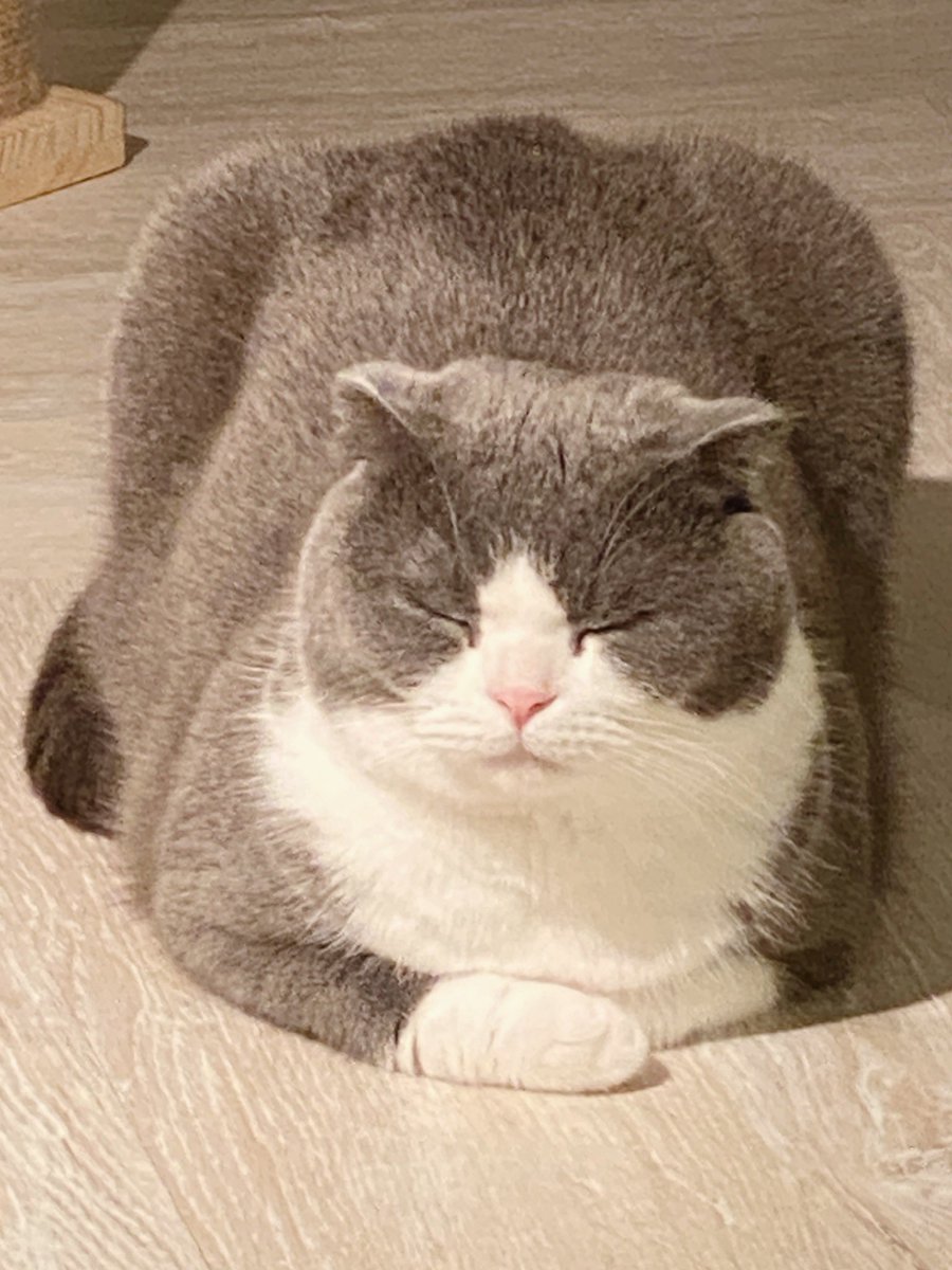 jiewliewnjiggo's tweet image. มือขวาทับมือซ้าย หายใจเข้าพุทธ หายใจออกโท