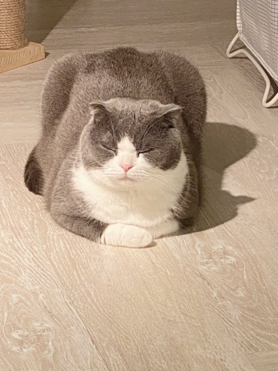 jiewliewnjiggo's tweet image. มือขวาทับมือซ้าย หายใจเข้าพุทธ หายใจออกโท