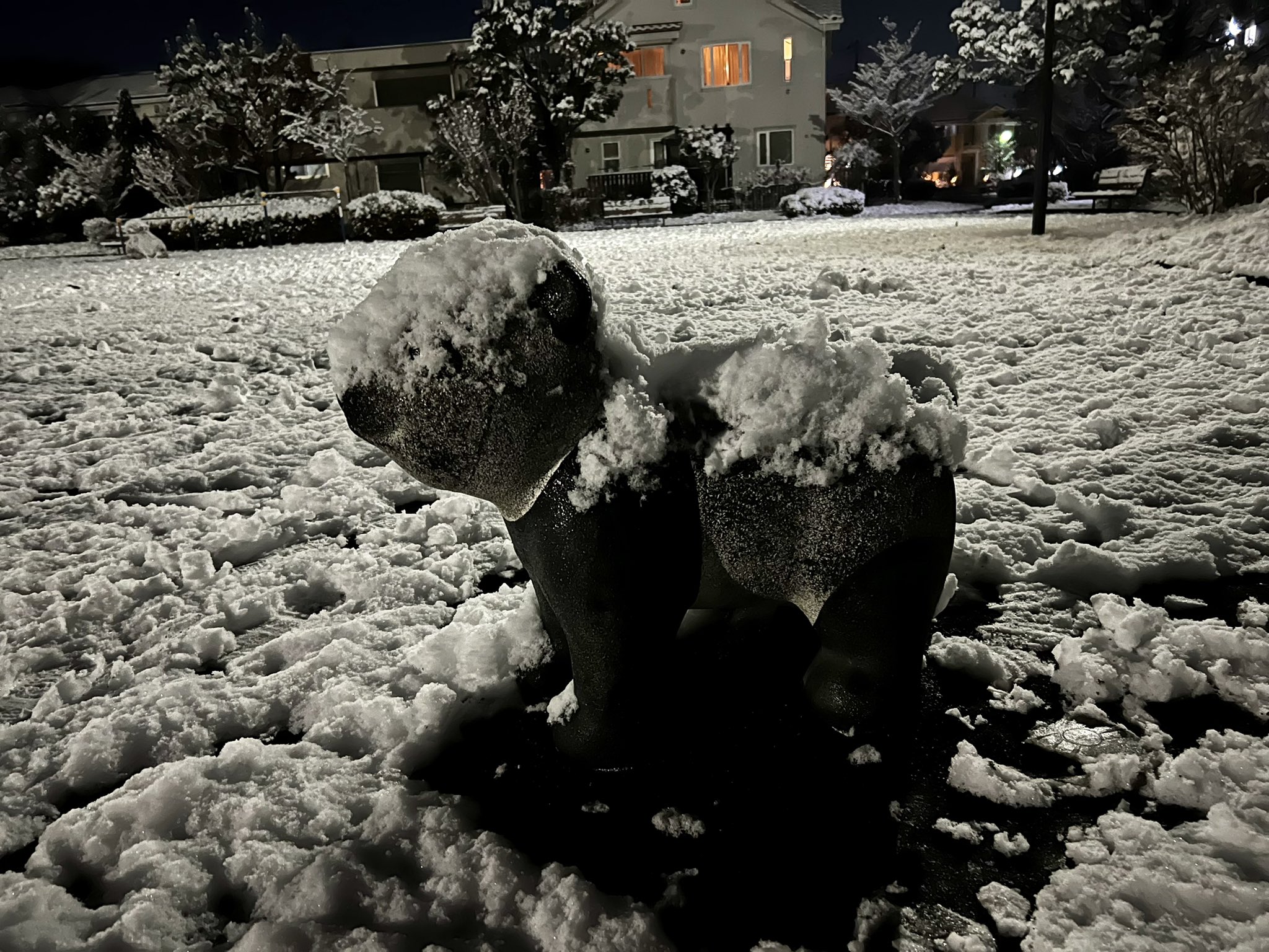 サトカナ 外から聞こえる車の音がビシャビシャからシャリシャリに変わって 雪 見たい雪 と思いつつ1日作業 せっかくの雪を楽しまなければと散歩してきた 積った雪を踏み締めた時のぎゅっぎゅっ音とか久しぶり たまらん T Co Ymekfwgn0n