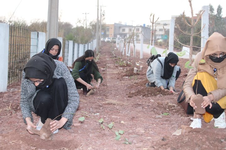 Plant4Pak's tweet photo. National Project Director #TenBillionTreeTsunamiProgramme Mr. H.A Sukhera (@sukhera4a) along with team members of #TBTTP from National Startegic Support Unit carried out a plantation activity at Botanical Garden in Bani Gala, Islamabad.
@ClimateChangePK @GovtofPakistan https://t.co/zRI4cUBPPz