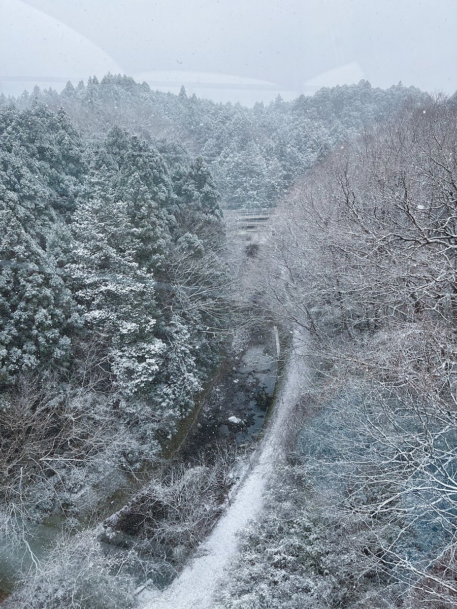 laulaa___'s tweet photo. 呼吸が澄んでいく雪景色へ冬派の音楽が溶けていってしまう感覚が嬉しい https://t.co/HkkCtTMxCq