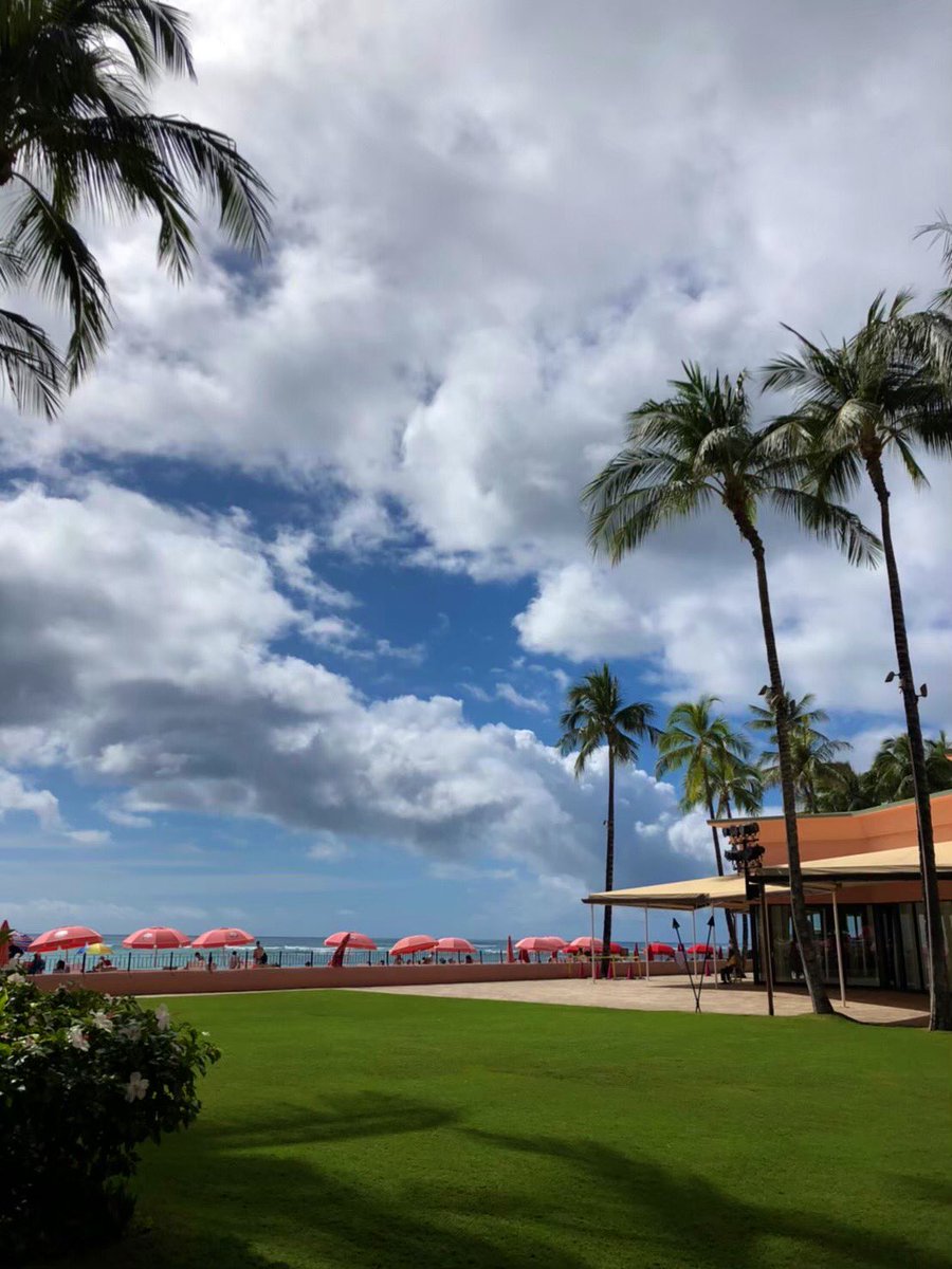 ayumi_718tanaka's tweet photo. こんなに寒い日は南国を想い出す…🥰
🌴🌺🐚
#Hawaii
#2020winter
#girlstrip 💟 https://t.co/vksSAeLDCr