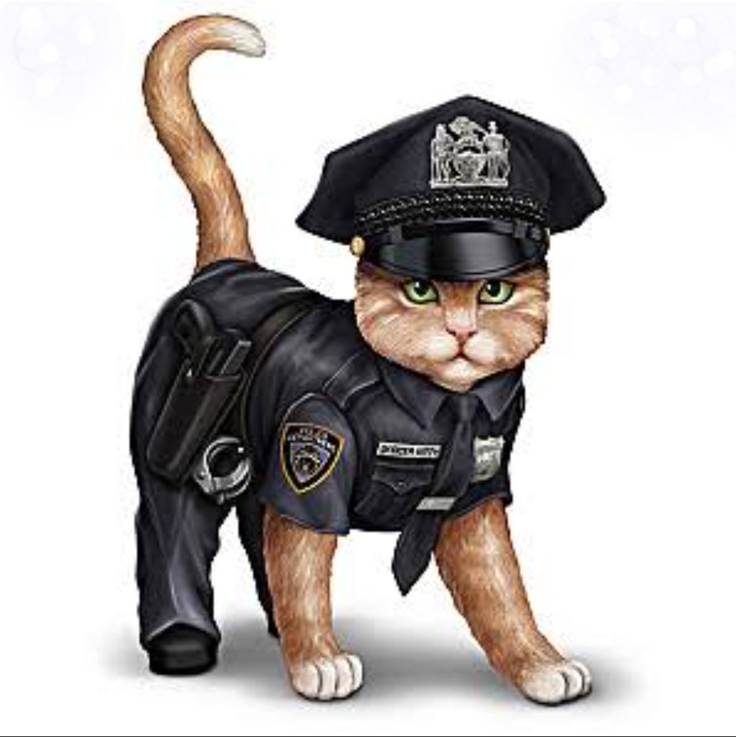 Кот в полицейской форме