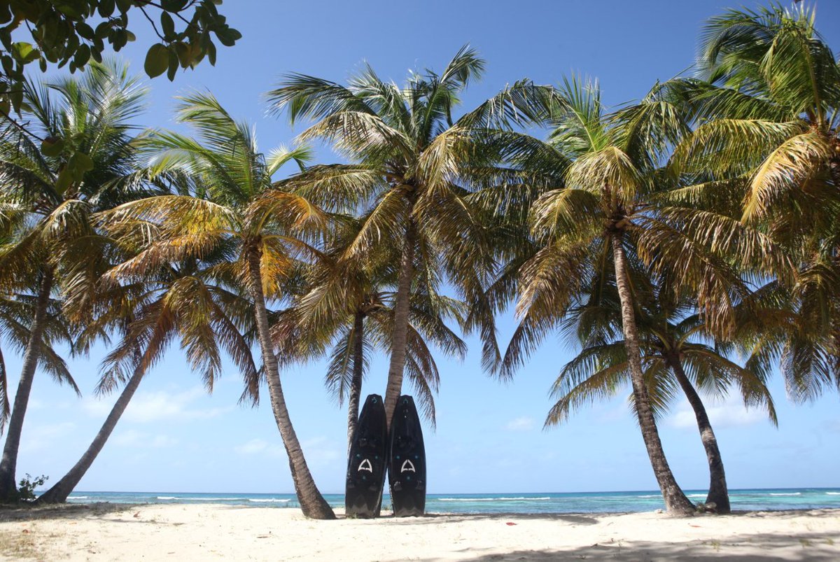 New year, new board 🏝️🏄‍♂️
Grab your upgraded Mako Slingshot now at makoboardsports.com ✌️
#jetboard #jetboarding #newyear #motorised #surf #surfing #watersports #palmtrees #sea #sand #ocean #sports #fitness #giloindustries