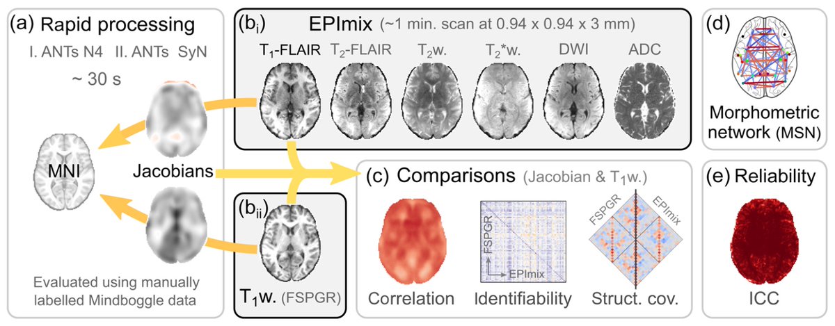 Toby Wise (@toby_wise) / Twitter