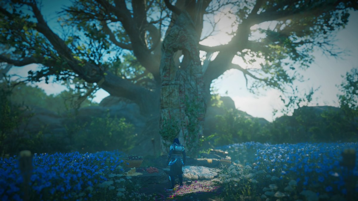 NHuntex's tweet photo. #acvalhalla #PS4share #Valhalla https://t.co/LXchoGVF8A