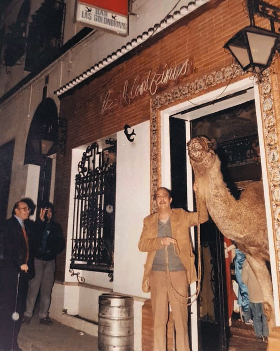 Cυαndσ ℓσѕ cαмєℓℓσѕ тσмαвαη ρυnтαѕ dє ѕσℓσмιℓℓσ.🐪¡Fєℓιz díα dє Rєуєѕ!.👑✨

#lasgolondrinastriana #lasgolondrinassevilla #golondrinear #livegolondrinas #puntadesolomillo #grilledporkloin #diadereyes #nochedereyes #reyesmagos #felicesreyes