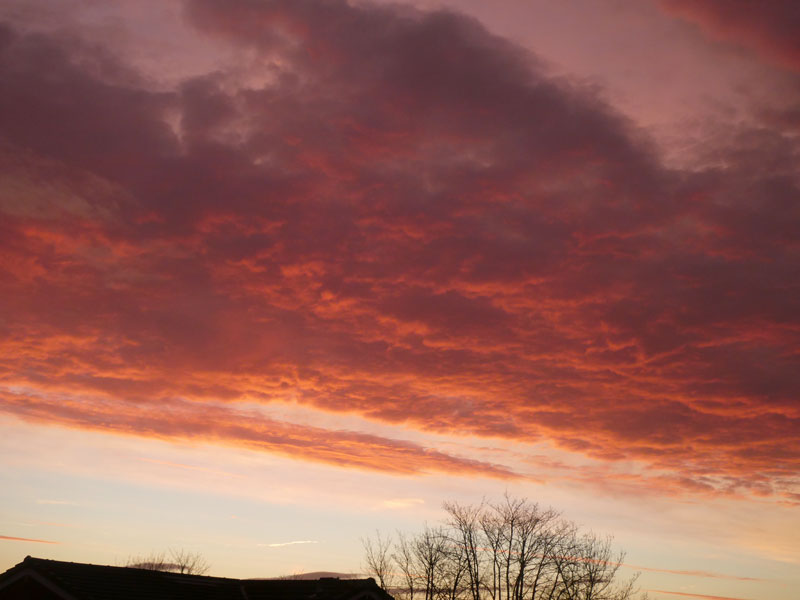 Dramatic red sky at dawn in Cardiff today. Now there's a cold rain...