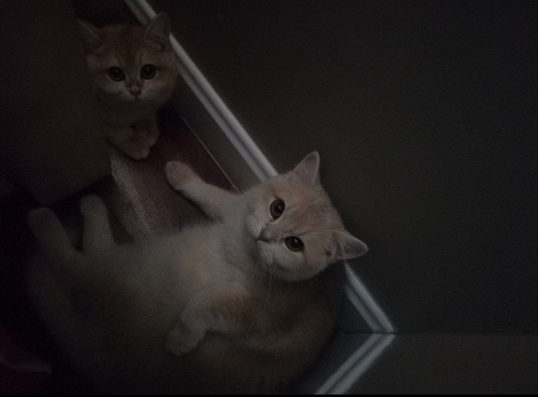 +oh merhaba, dünyanın en tatlı şeylerini arıyordum da🤭
-buyrun yardımcı olalım😍