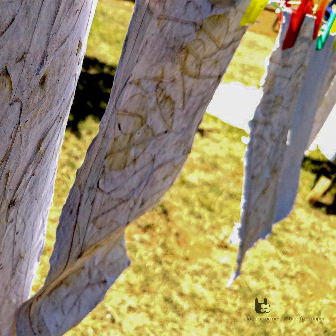 bluecatpaper's tweet photo. Pressing leaves of winter on tree-free paper! 
There is literally nothing to waste when it's about handmade paper, every piece of paper is a piece of art itself. 🌳🌍♻️

#HandmadePaper #milestone #supportthecause #bluecatpaper #sustainableproduct #treefreepaper  #ecofriendlypaper https://t.co/XmIlh5qoLL