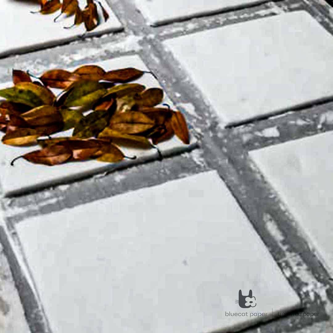 bluecatpaper's tweet photo. Pressing leaves of winter on tree-free paper! 
There is literally nothing to waste when it's about handmade paper, every piece of paper is a piece of art itself. 🌳🌍♻️

#HandmadePaper #milestone #supportthecause #bluecatpaper #sustainableproduct #treefreepaper  #ecofriendlypaper https://t.co/XmIlh5qoLL
