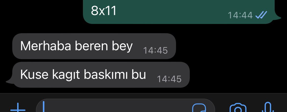 her kadının hayali beren bey