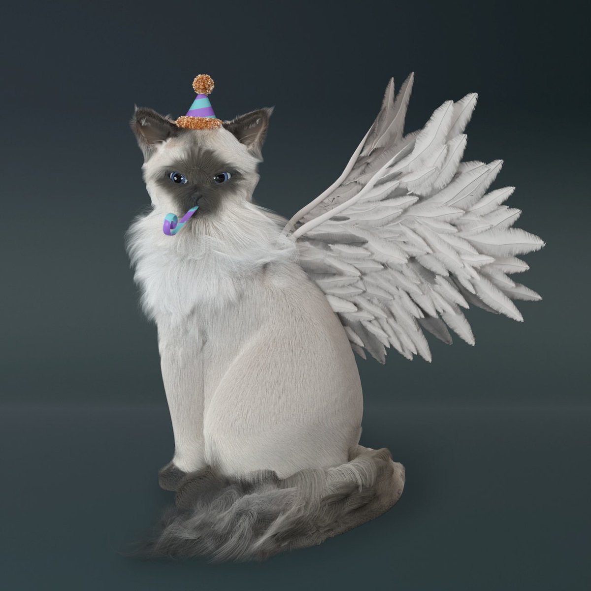 INVEST CAT tweet media