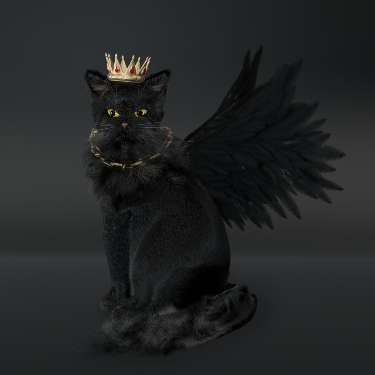 INVEST CAT tweet media