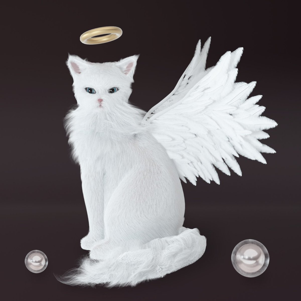 INVEST CAT tweet media