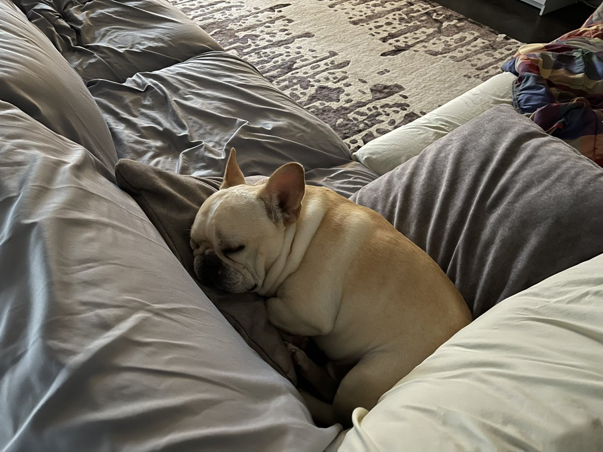 Manny (@mannywedges) on Twitter photo 