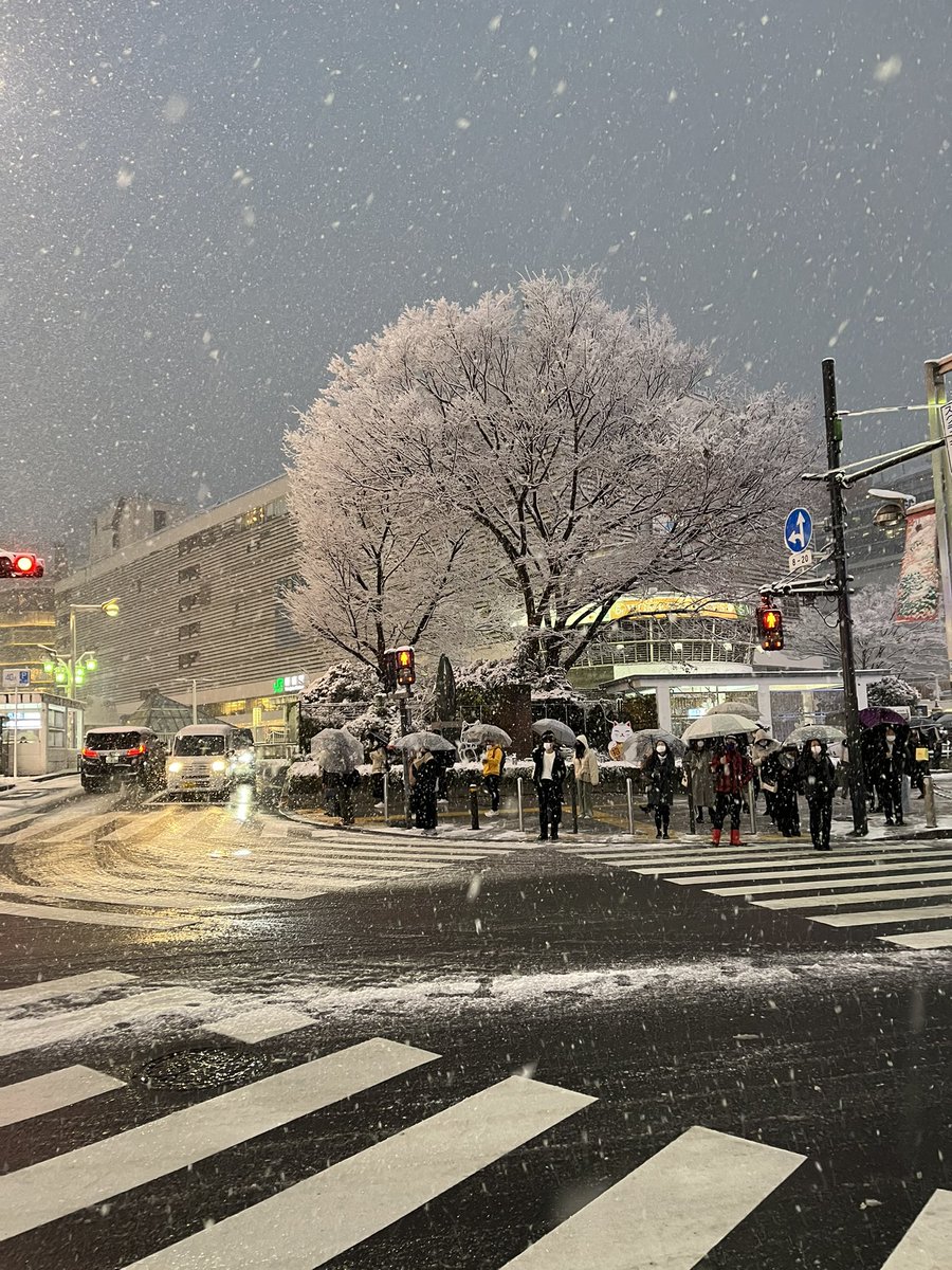 onokuri's tweet photo. https://t.co/UTcD1RKb3y