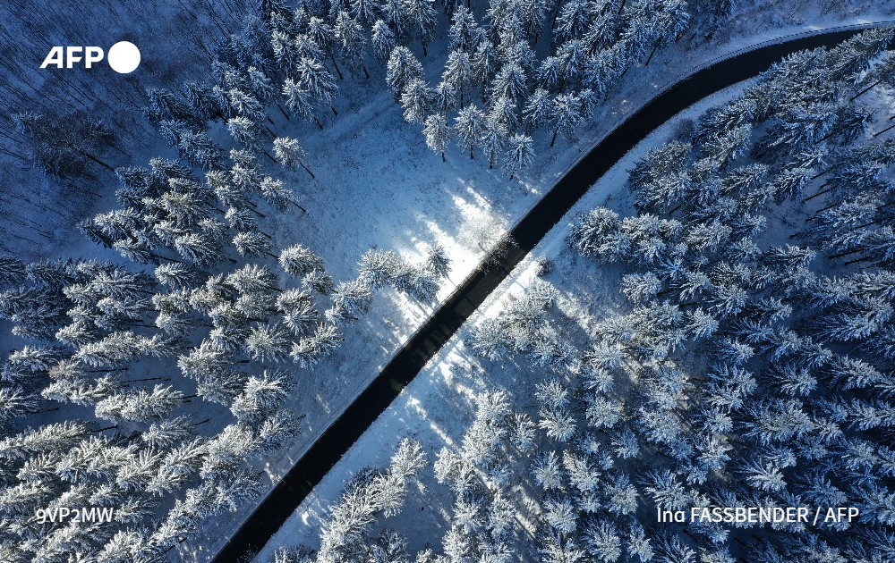 Stephanie Youssef tweet media