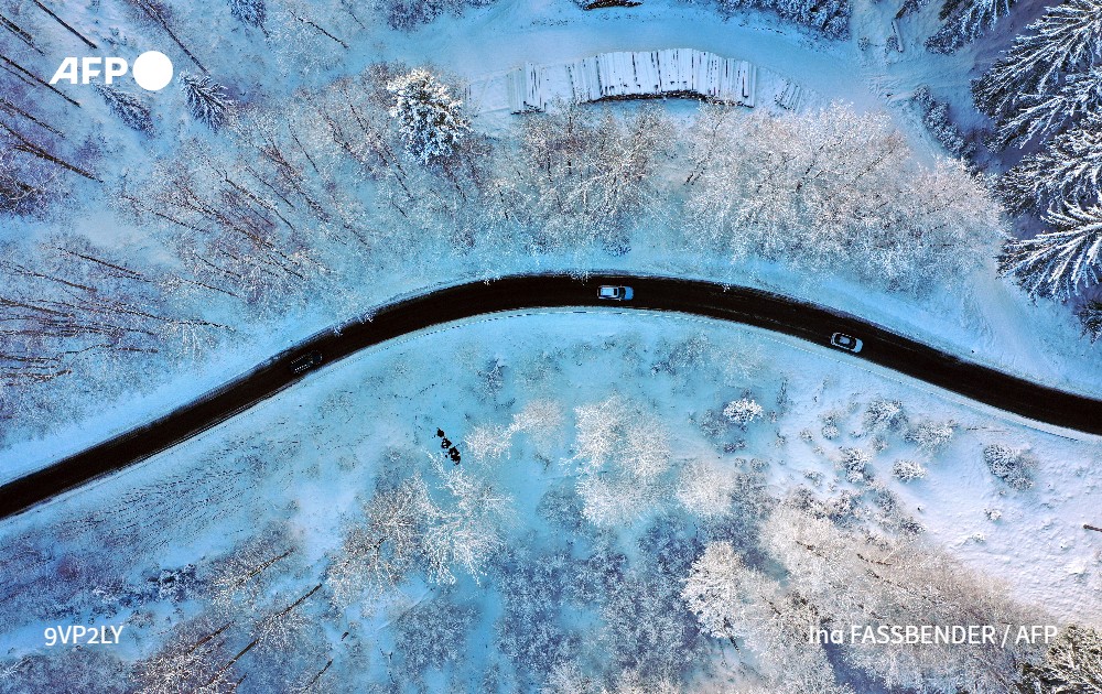 Stephanie Youssef tweet media