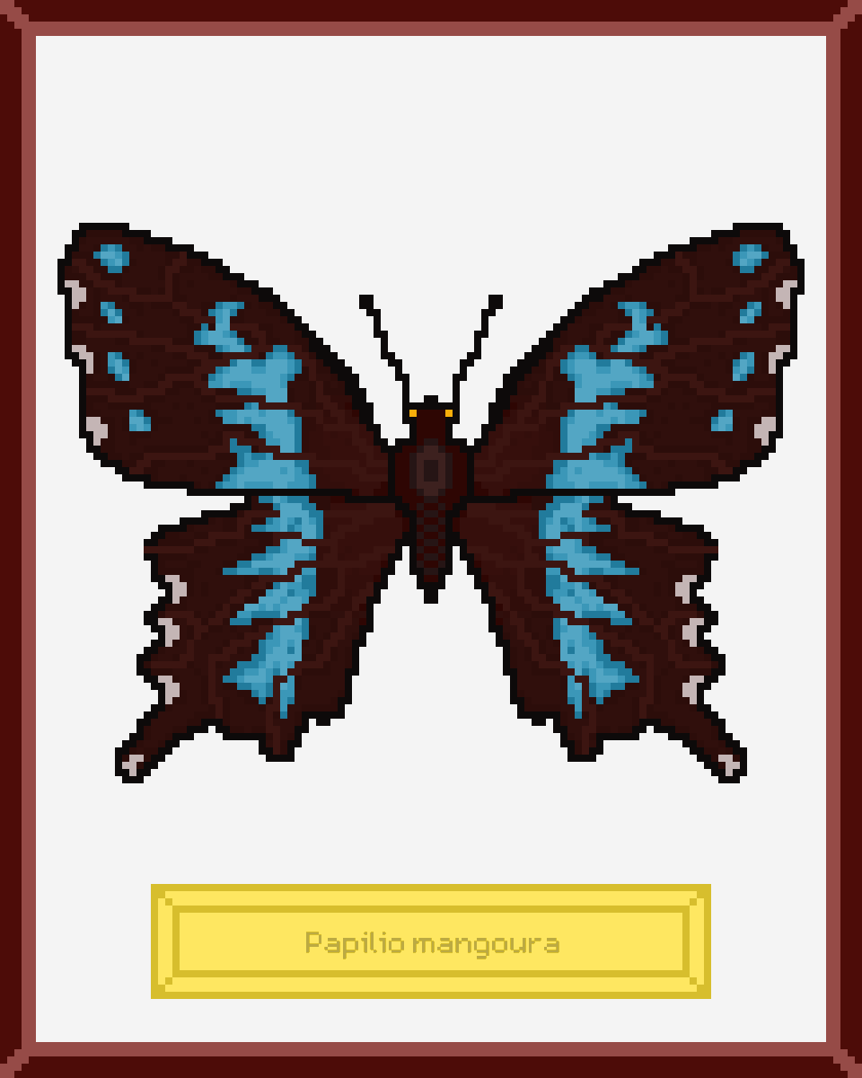 ButterfliesNFTs's tweet photo. This butterfly is likely to disappear before the end of this decade, but you can acquire a digital copy of it that will forever be evidence of the existence of this species. Check Butterflies Museum on @opensea 

https://t.co/j4sfJ31cI2

#NFT #NFTs #NFTCommunity #nftcollector https://t.co/cJF36ShJS8